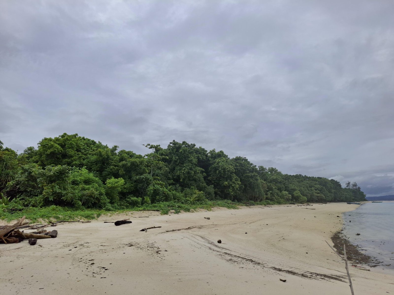 Garis pantai dan hutan pantai alami Pulau Pombo